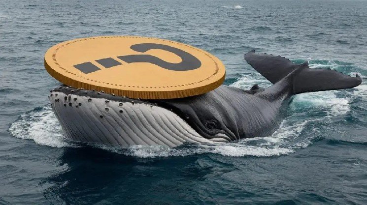 Chinese Cryptocurrency Giant Shares Bitcoin and Ethereum Expectations! Opens Another Long Position! Here Are the Details Chinese Cryptocurrency Giant Shares Bitcoin and Ethereum Expectations! Opens Another Long Position! Here Are the Details
