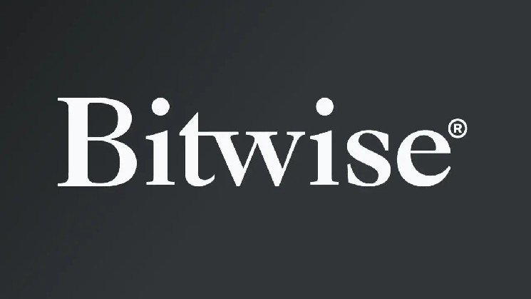 Bitwise CIO Sees Crypto Bull Case Strengthening on 5 Key Shifts Bitwise CIO Sees Crypto Bull Case Strengthening on 5 Key Shifts