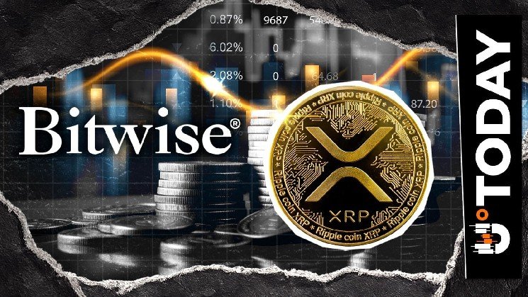 Leading Asset Manager Bitwise Moves $15.4 Million of XRP Off Supply Leading Asset Manager Bitwise Moves $15.4 Million of XRP Off Supply