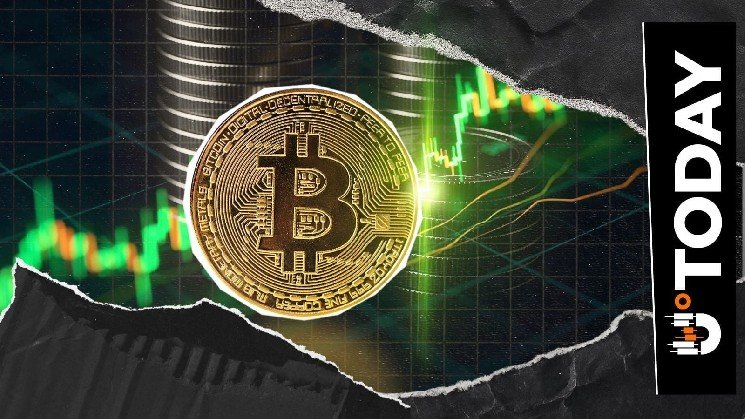 Bitcoin Sees Biggest-Ever Short Liquidation Volume as It Surges to Nearly $70K Bitcoin Sees Biggest-Ever Short Liquidation Volume as It Surges to Nearly $70K