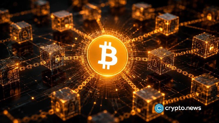 US government moves Bitcoin seized from Alameda US government moves Bitcoin seized from Alameda