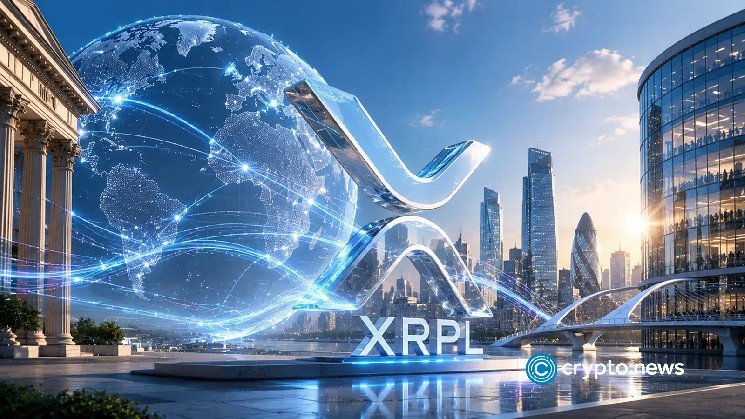 What XRP holders should know What XRP holders should know