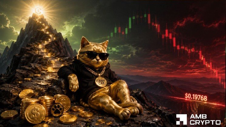 Should CASHCAT traders expect a major price correction in the near term? Should CASHCAT traders expect a major price correction in the near term?