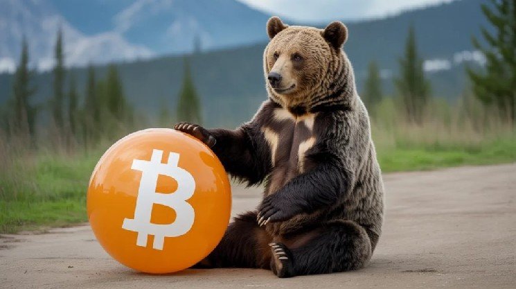 Experienced Analyst Claims There Is a “Hidden Bearish Divergence” in Bitcoin Experienced Analyst Claims There Is a “Hidden Bearish Divergence” in Bitcoin