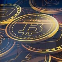 Bitcoin, gold rally as investors turn to alternative assets Bitcoin, gold rally as investors turn to alternative assets