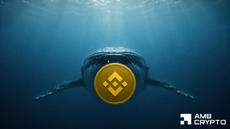 Can a $8.5M whale position keep BNB above $700? Can a $8.5M whale position keep BNB above $700?