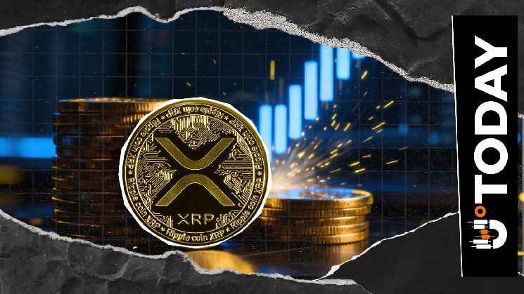 XRP Network’s 655% Rise Signals Incoming Big Move? XRP Network's 655% Rise Signals Incoming Big Move?