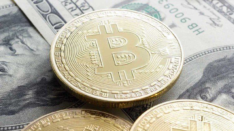 Over 11,000 Bitcoin millionaires added in August 2026 Over 11,000 Bitcoin millionaires added in August 2026