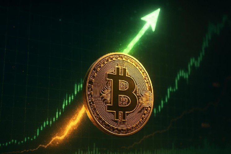 Bitcoin price today hits $79,000 as short squeeze fuels biggest rally since 2023 Bitcoin price today hits $79,000 as short squeeze fuels biggest rally since 2023