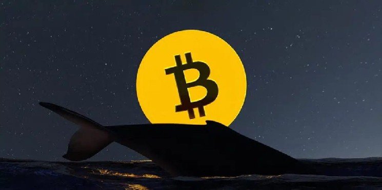 BTCs of a Bitcoin Whale That Has Been Dormant for 15 Years Have Started Moving BTCs of a Bitcoin Whale That Has Been Dormant for 15 Years Have Started Moving