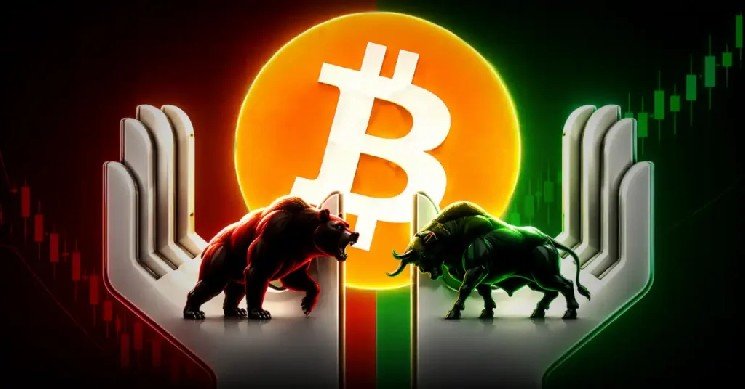 Bitcoin Price Accumulates Below $80,000, While the Sentiment Fades—Is It Bullish Disbelief or a Warning Signal? Bitcoin Price Accumulates Below $80,000, While the Sentiment Fades—Is It Bullish Disbelief or a Warning Signal?