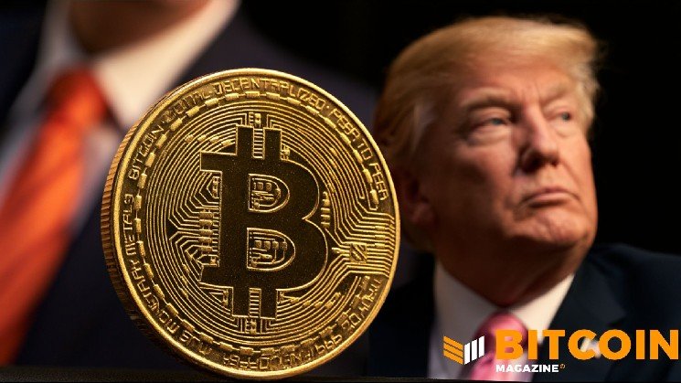 Forget the Trump Bump — Bitcoin Would Be Fine Under Democrats, Says VanEck Forget the Trump Bump — Bitcoin Would Be Fine Under Democrats, Says VanEck