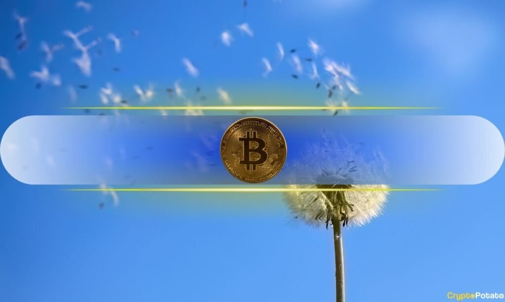 Why $80,000 Could Be Bitcoin’s (BTC) Most Important Level Right Now Why $80,000 Could Be Bitcoin's (BTC) Most Important Level Right Now