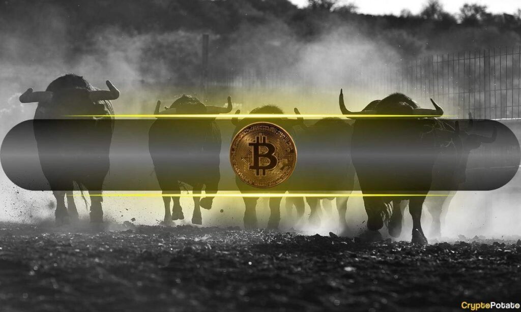These Four Signals Could Confirm if Bitcoin's Low Is Locked In: Analyst