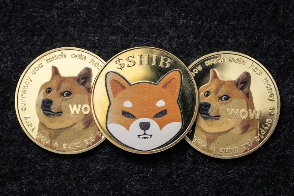 SHIB Joins XRP, Bitcoin on Japan’s First New Crypto Exchange in 4 Years SHIB Joins XRP, Bitcoin on Japan's First New Crypto Exchange in 4 Years