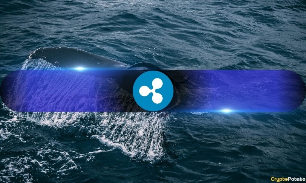 Ripple Whales Go Crazy as XRP Price Can't Stop Surging