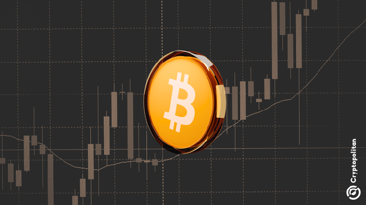 Bitcoin Reclaims Short-Term Holder Cost Basis as the Weekly Moving Average Holds at $81K Bitcoin Reclaims Short-Term Holder Cost Basis as the Weekly Moving Average Holds at $81K
