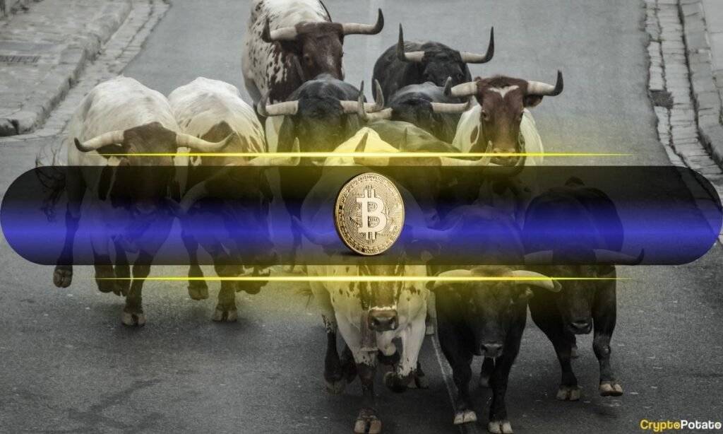 Bitcoin Rockets Past $75K as Analyst Declares the Bull Market Has Begun