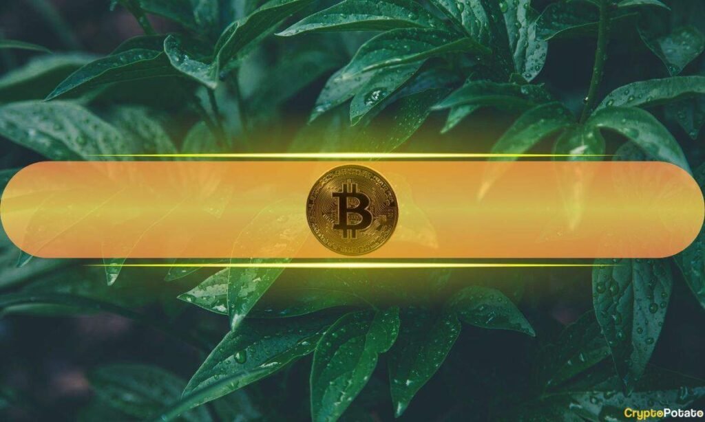 Bitcoin Could Hit $90K – But This Major Test Comes First, Analysts Say Bitcoin Could Hit $90K - But This Major Test Comes First, Analysts Say
