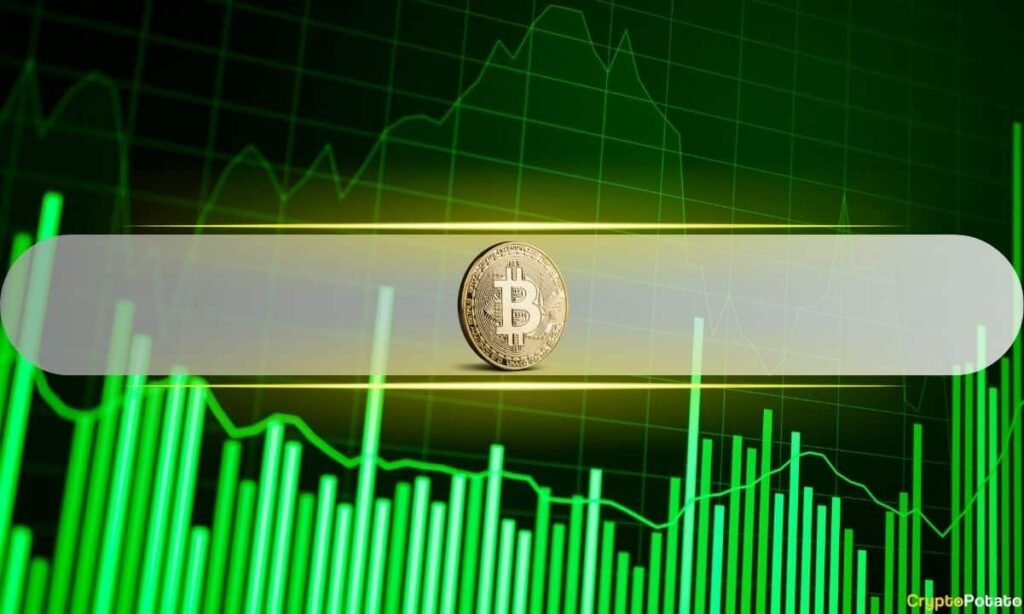 Bitcoin Smashes $80K as $260M in Shorts Get Wiped Out: Here Are the Next Targets