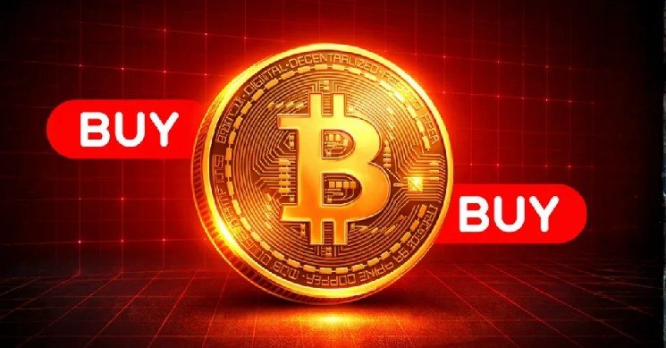 Bitcoin Price Holds $73K as Whales Accumulate Bitcoin Price Holds $73K as Whales Accumulate