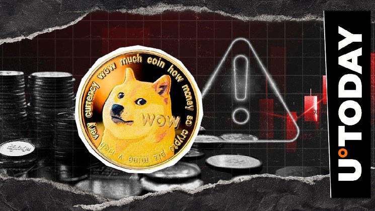 Potential Bull Trap? Dogecoin Contributor Warns on Crypto Market Surge Potential Bull Trap? Dogecoin Contributor Warns on Crypto Market Surge