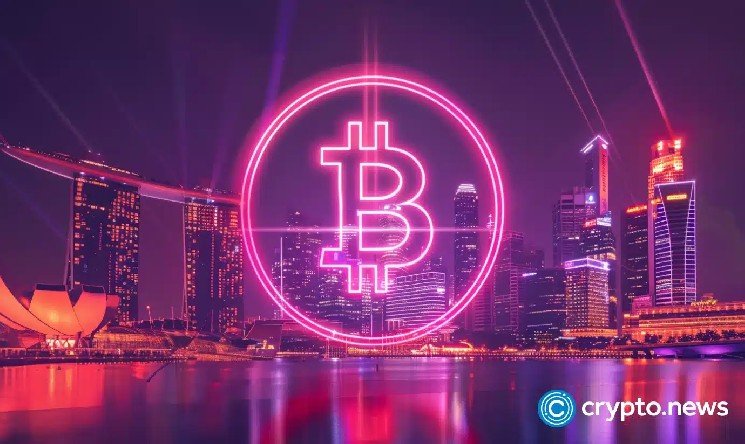 Singapore court freezes S$75m in Bitcoin, USDC over transfer dispute Singapore court freezes S$75m in Bitcoin, USDC over transfer dispute