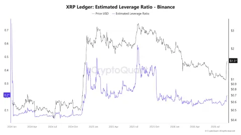 XRP Leverage Ratio