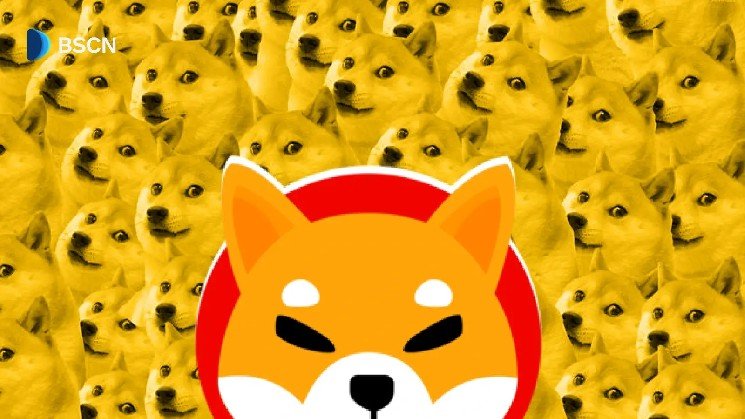 How Did a “Dogecoin Killer” Become a Multi-Billion How Did a “Dogecoin Killer” Become a Multi-Billion