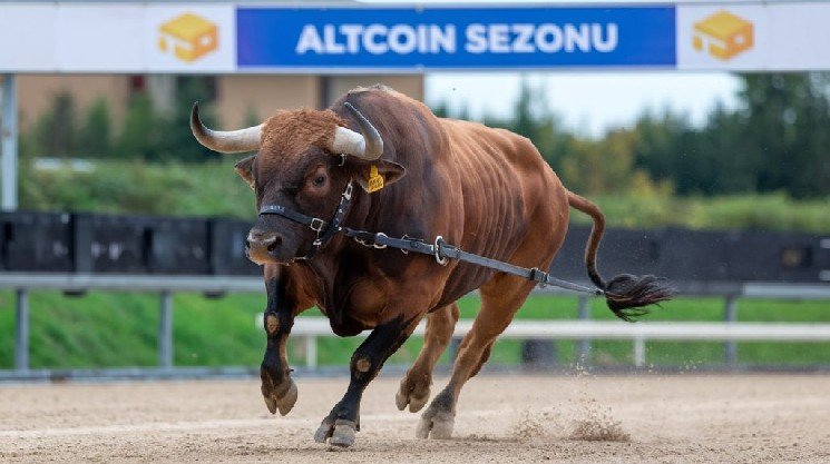 First Sign of a New Altcoin Season or a Bear Market Rally? Analyst Explains! First Sign of a New Altcoin Season or a Bear Market Rally? Analyst Explains!