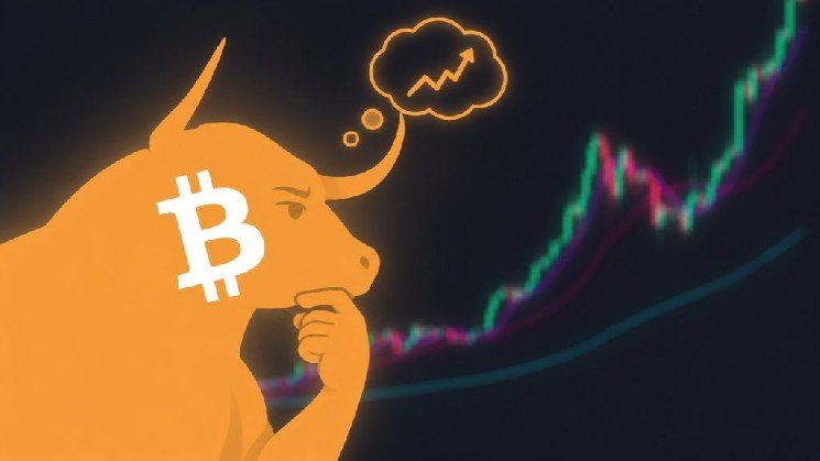 Why Did Bitcoin’s Rise Stop? Glassnode Explains, Sharing Two Levels That Will Determine BTC’s Fate! Why Did Bitcoin’s Rise Stop? Glassnode Explains, Sharing Two Levels That Will Determine BTC’s Fate!