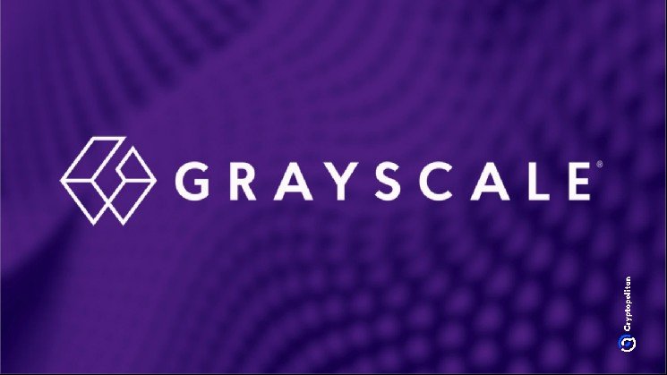 Grayscale’s bitcoin-free model hands XRP 26.11%, second only to ether Grayscale's bitcoin-free model hands XRP 26.11%, second only to ether