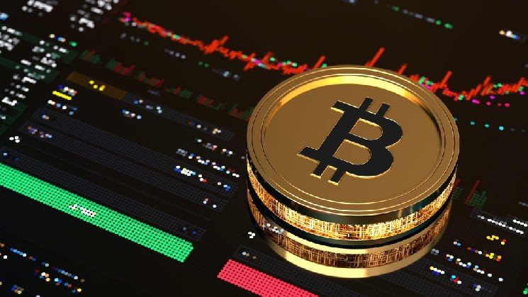 A Strong Warning from a Macro Strategist: “Don’t Let Bitcoin’s Rise Fool You…” A Strong Warning from a Macro Strategist: “Don’t Let Bitcoin’s Rise Fool You…”