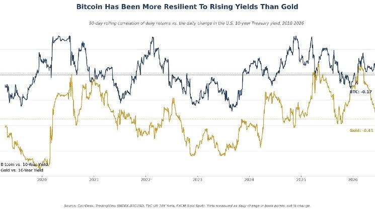 Bitcoin blinks less than gold when Treasury yields move Bitcoin blinks less than gold when Treasury yields move