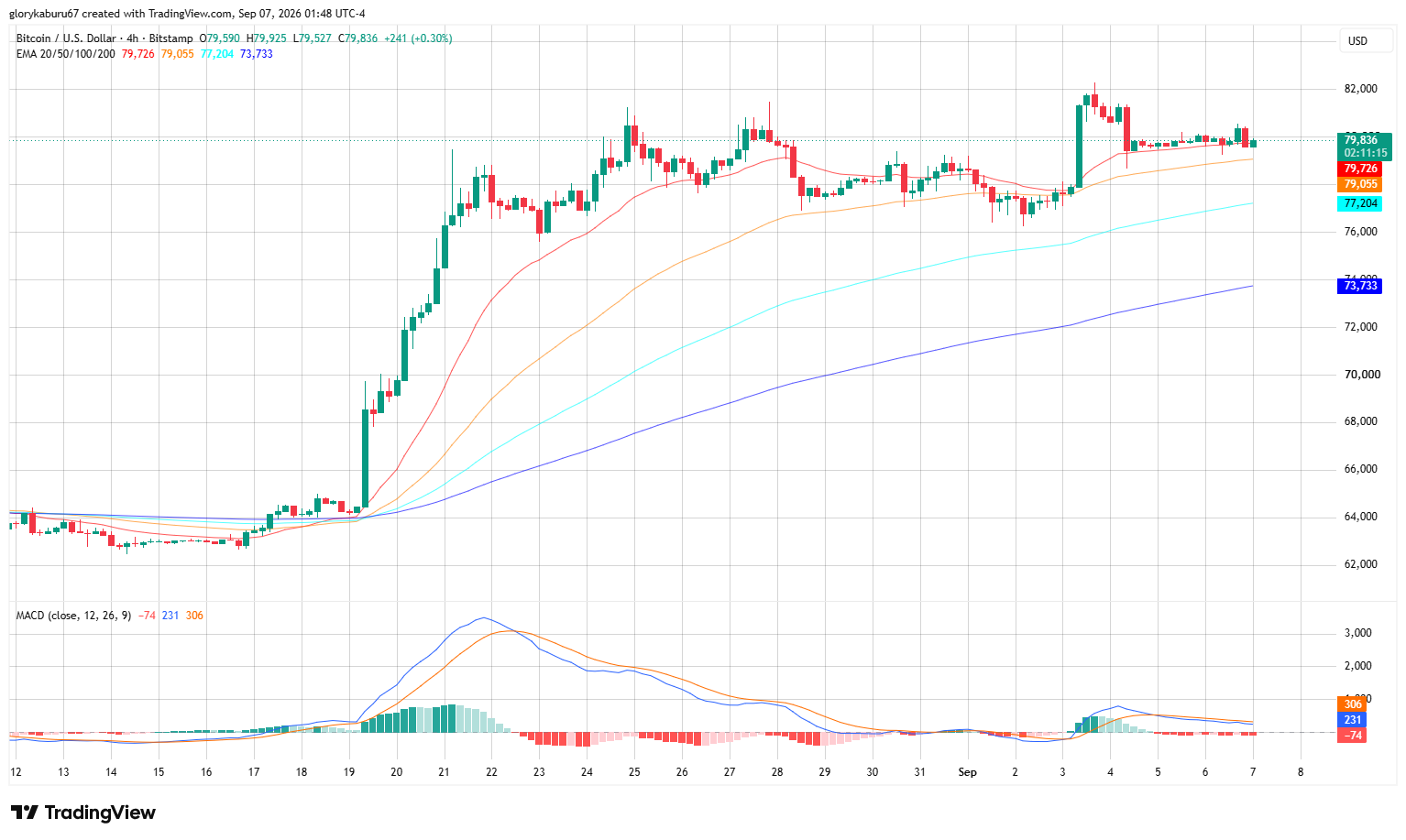 Bitcoin price chart. Source: TradingView