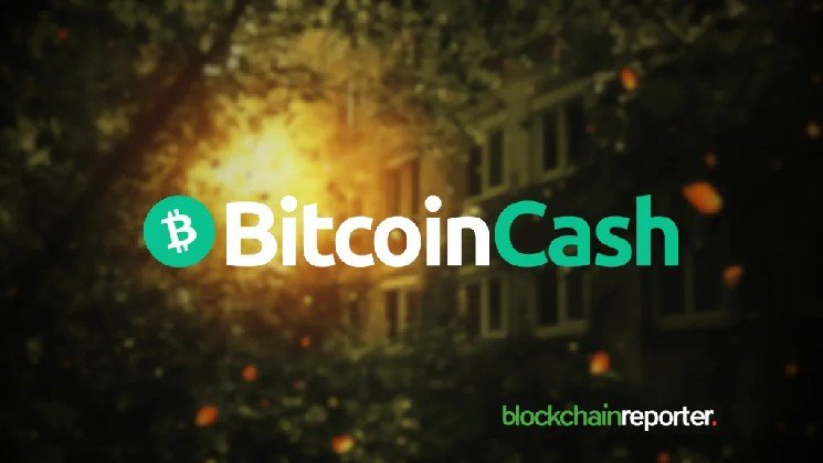 Grayscale Files to Convert Bitcoin Cash Trust (BCHG) Into Spot Bitcoin Cash ETF Grayscale Files to Convert Bitcoin Cash Trust (BCHG) Into Spot Bitcoin Cash ETF