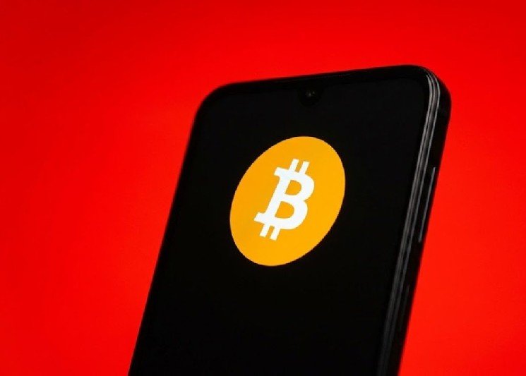 Owner of Turkish Cryptocurrency Exchange Arrested Owner of Turkish Cryptocurrency Exchange Arrested