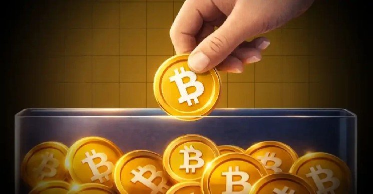BTC Outlasts a Shaky Altcoin Market at $78,000 BTC Outlasts a Shaky Altcoin Market at $78,000