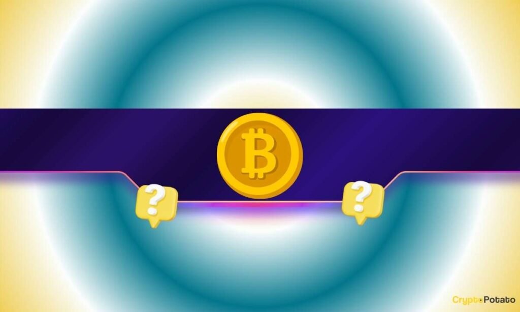What Will Happen to Bitcoin (BTC) if Trump Distributes $5,000 to Each American: 3 AIs Speculate What Will Happen to Bitcoin (BTC) if Trump Distributes $5,000 to Each American: 3 AIs Speculate