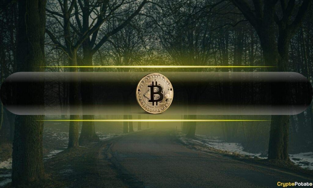 Bitcoin Holders Capitulate After CLARITY Act Failure: What the Data Shows Bitcoin Holders Capitulate After CLARITY Act Failure: What the Data Shows