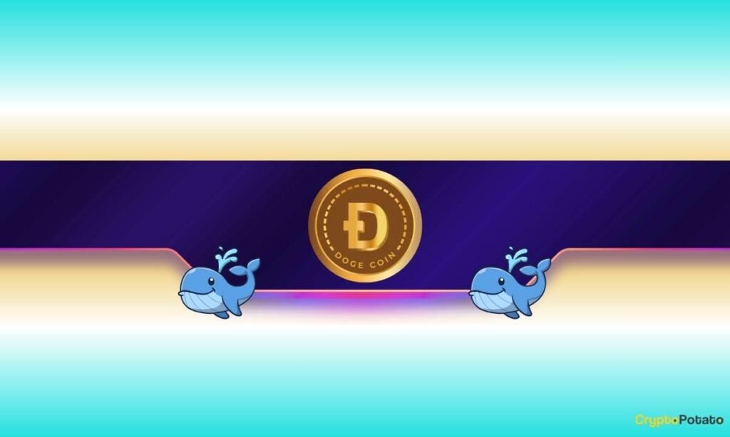 3 Reasons Why Dogecoin (DOGE) Is Ready for a Breakout 3 Reasons Why Dogecoin (DOGE) Is Ready for a Breakout