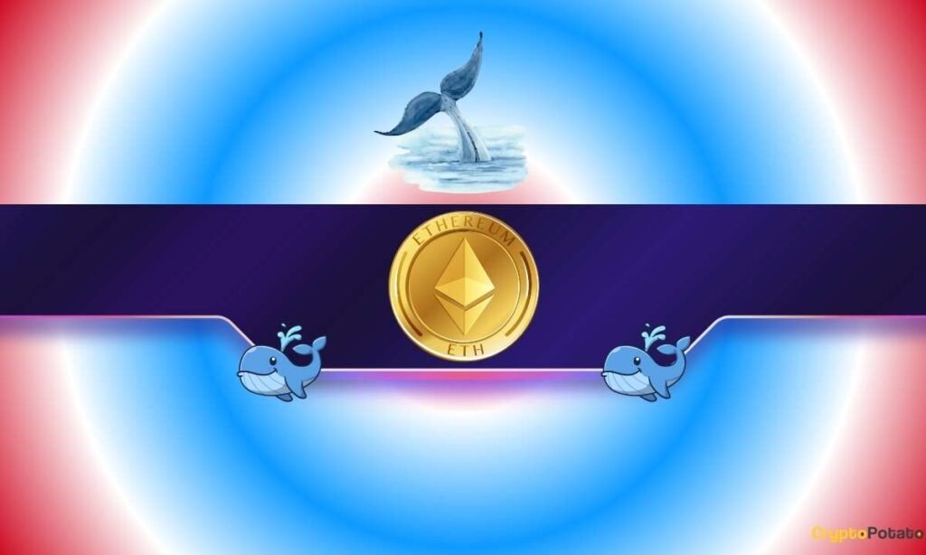 Ethereum Whales Just Woke Up as ETH Exploded to 8 Ethereum Whales Just Woke Up as ETH Exploded to 8