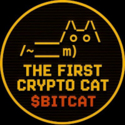 The First Crypto Cat Price Prediction