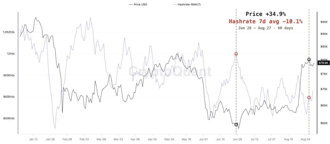 Bitcoin Price vs Hashrate