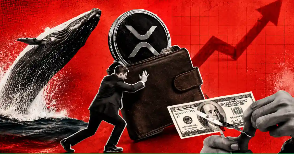 Whale breaching water near man pushing wallet with XRP token and dollar bill cut by scissors.
