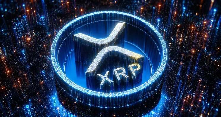Critical Warning from a Famous American Figure to XRP Investors: “Your Assets Could Be a Target!” Critical Warning from a Famous American Figure to XRP Investors: “Your Assets Could Be a Target!”