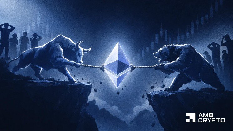 Ethereum holders return to profit Ethereum holders return to profit