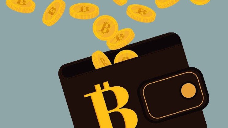 Vymopay Publishes Self-Custody Wallet Comparison for Bitcoin (BTC), Ethereum (ETH) and Altcoin Traders: What to Check Before Leaving an Exchange Vymopay Publishes Self-Custody Wallet Comparison for Bitcoin (BTC), Ethereum (ETH) and Altcoin Traders: What to Check Before Leaving an Exchange