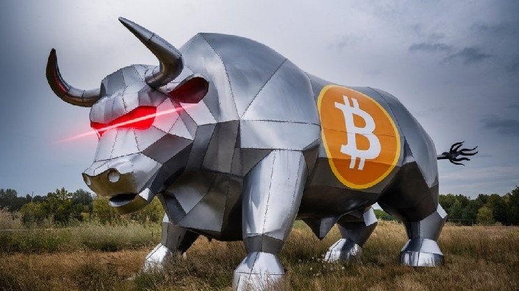 Have the Recent Rallies in Bitcoin Triggered a Bull Market, or Are We Still Waiting? Have the Recent Rallies in Bitcoin Triggered a Bull Market, or Are We Still Waiting?