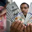 Ghana cedi to dollar rate: Latest BoG rates for Sept 2